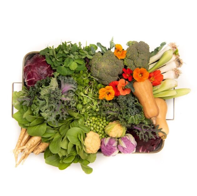 Gourmet Vegetable Box